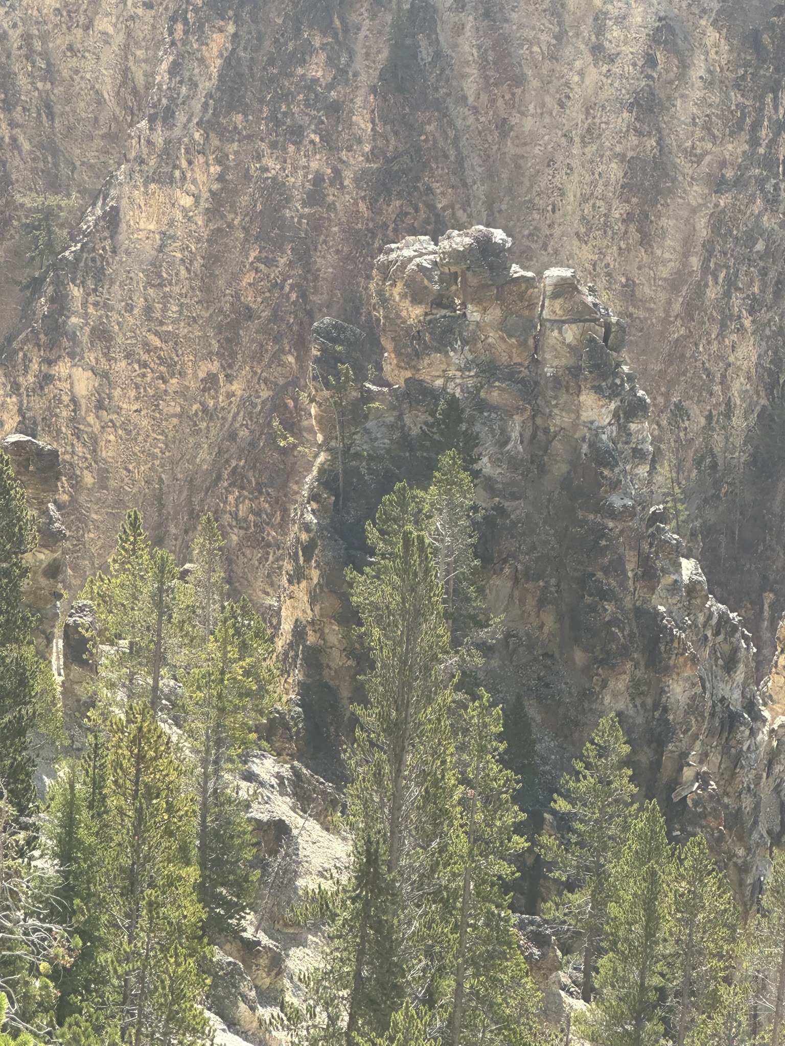 Yellowstone And Grand Teton National Parks - Image 455
